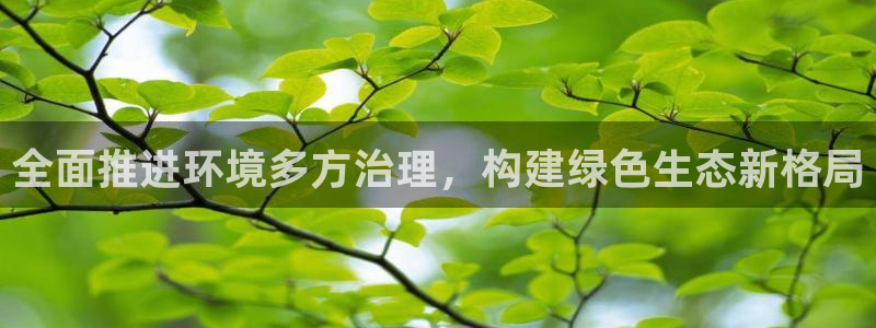 凯发k8全球最大的娱乐平台|全面推进环境多方治理，构建绿色生态新格局