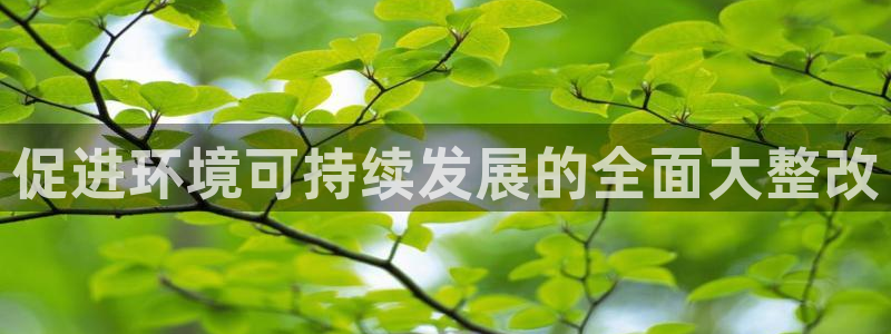 凯发k8·中国官方网站|促进环境可持续发展的全面大整改
